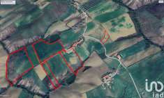 Foto Rustico in vendita a Bellante