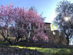 Foto Rustico in vendita a Bordighera