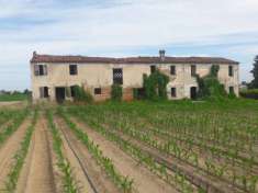 Foto Rustico in Vendita a Bovolone Bovolone