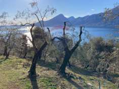 Foto Rustico in vendita a Brenzone