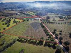 Foto Rustico in vendita a Bucchianico