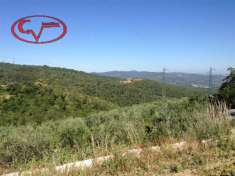 Foto Rustico in vendita a Bucine