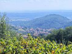 Foto Rustico in vendita a Buti
