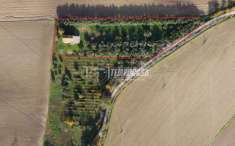 Foto Rustico in vendita a Camerata Picena