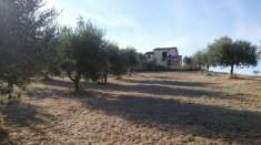 Foto Rustico in vendita a Campli