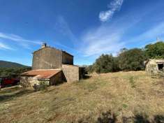 Foto Rustico in vendita a Capalbio