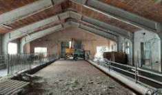 Foto Rustico in Vendita a Caprino Veronese