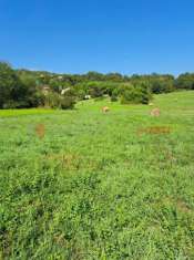 Foto Rustico in vendita a Casalvieri
