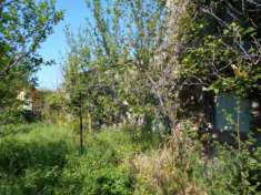 Foto Rustico in vendita a Castelnuovo Magra 114 mq  Rif: 1139505