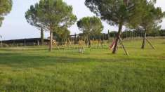 Foto Rustico in vendita a Castiglione del Lago 780 mq  Rif: 930490