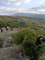 Foto Rustico in vendita a Castiglione Di Sicilia