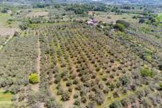 Foto Rustico in vendita a Castiglione Di Sicilia