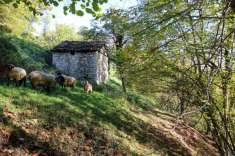 Foto Rustico in vendita a Cerano D'Intelvi