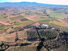 Foto Rustico in vendita a Cerreto Guidi
