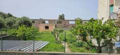 Foto Rustico in vendita a Cetraro