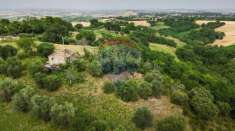 Foto Rustico in vendita a Cingoli