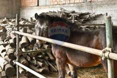 Foto Rustico in vendita a Civitella Di Romagna