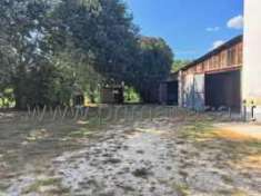 Foto Rustico in vendita a Cologna Veneta