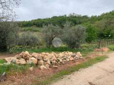 Foto Rustico in Vendita a Colognola ai Colli San Vittore