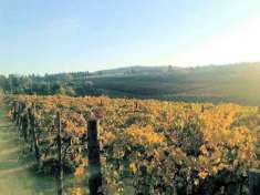Foto Rustico in vendita a Grosseto