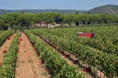 Foto Rustico in vendita a Grosseto