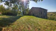 Foto Rustico in vendita a Guiglia