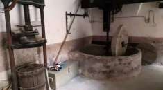 Foto Rustico in vendita a Imperia