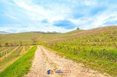 Foto Rustico in vendita a La Morra