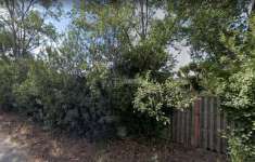 Foto Rustico in vendita a Ladispoli