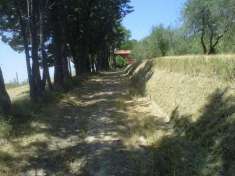 Foto Rustico in vendita a Legoli - Peccioli 300 mq  Rif: 452574