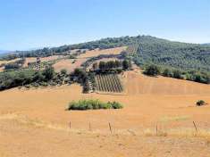 Foto Rustico in vendita a Magliano In Toscana
