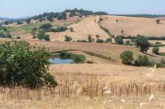 Foto Rustico in vendita a Magliano In Toscana