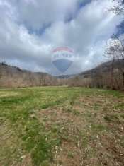 Foto Rustico in vendita a Mallare