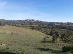 Foto Rustico in vendita a Manciano 350 mq  Rif: 1074837