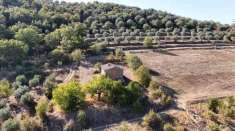 Foto Rustico in vendita a Marsciano