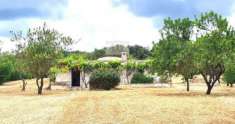 Foto Rustico in vendita a Martina Franca