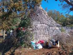 Foto Rustico in vendita a Martina Franca