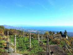 Foto Rustico in vendita a Mascali