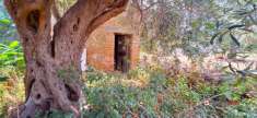 Foto Rustico in vendita a Messina
