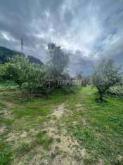 Foto Rustico in vendita a Messina