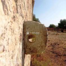 Foto Rustico in vendita a Modica