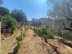 Foto Rustico in vendita a Monte Argentario