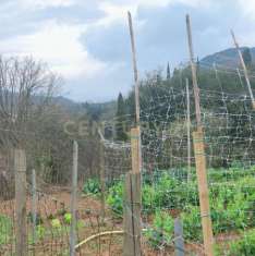 Foto Rustico in vendita a Monte Argentario