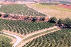Foto Rustico in vendita a Montepulciano