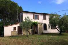 Foto Rustico in vendita a Montescudaio