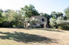 Foto Rustico in vendita a Montieri