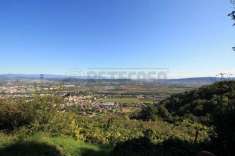 Foto Rustico in vendita a Montorso Vicentino