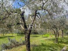 Foto Rustico in vendita a Nago Torbole