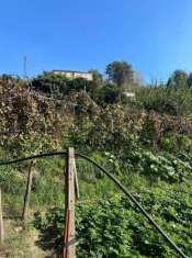 Foto Rustico in vendita a Napoli