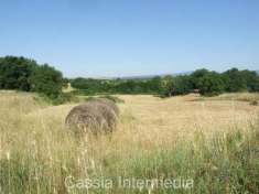 Foto Rustico in vendita a Nepi